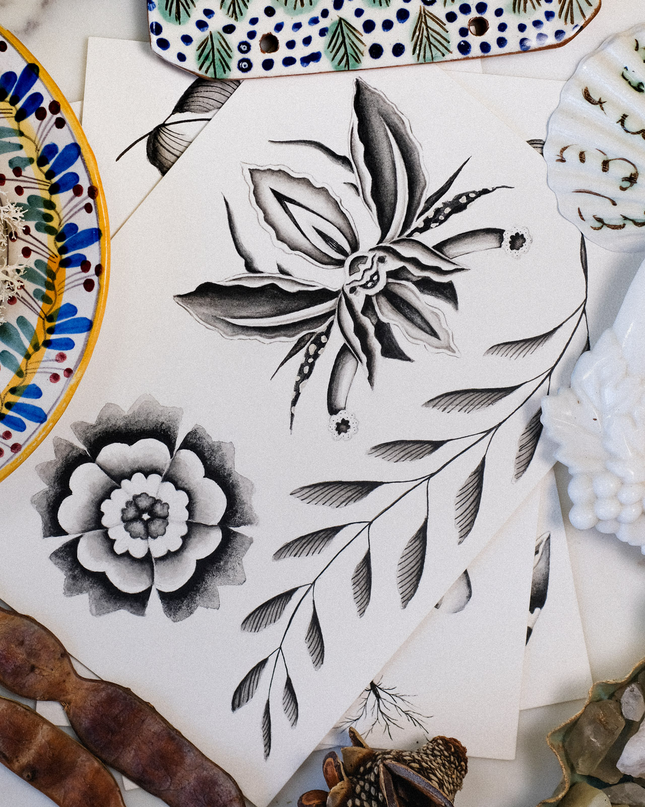 Monochrome botanical drawings on paper arranged among ceramics, seeds and natural objects