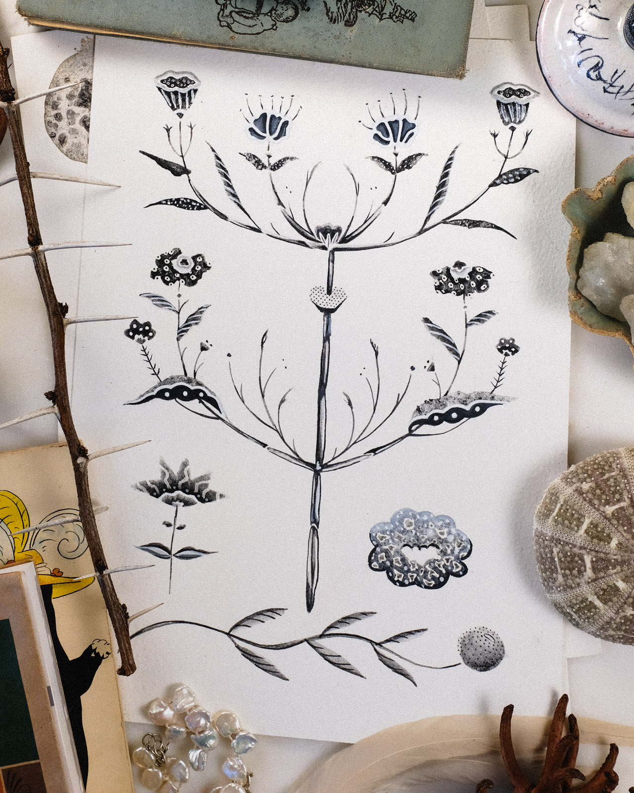 Monochrome symmetrical plant study on paper surrounded by shells and natural objects