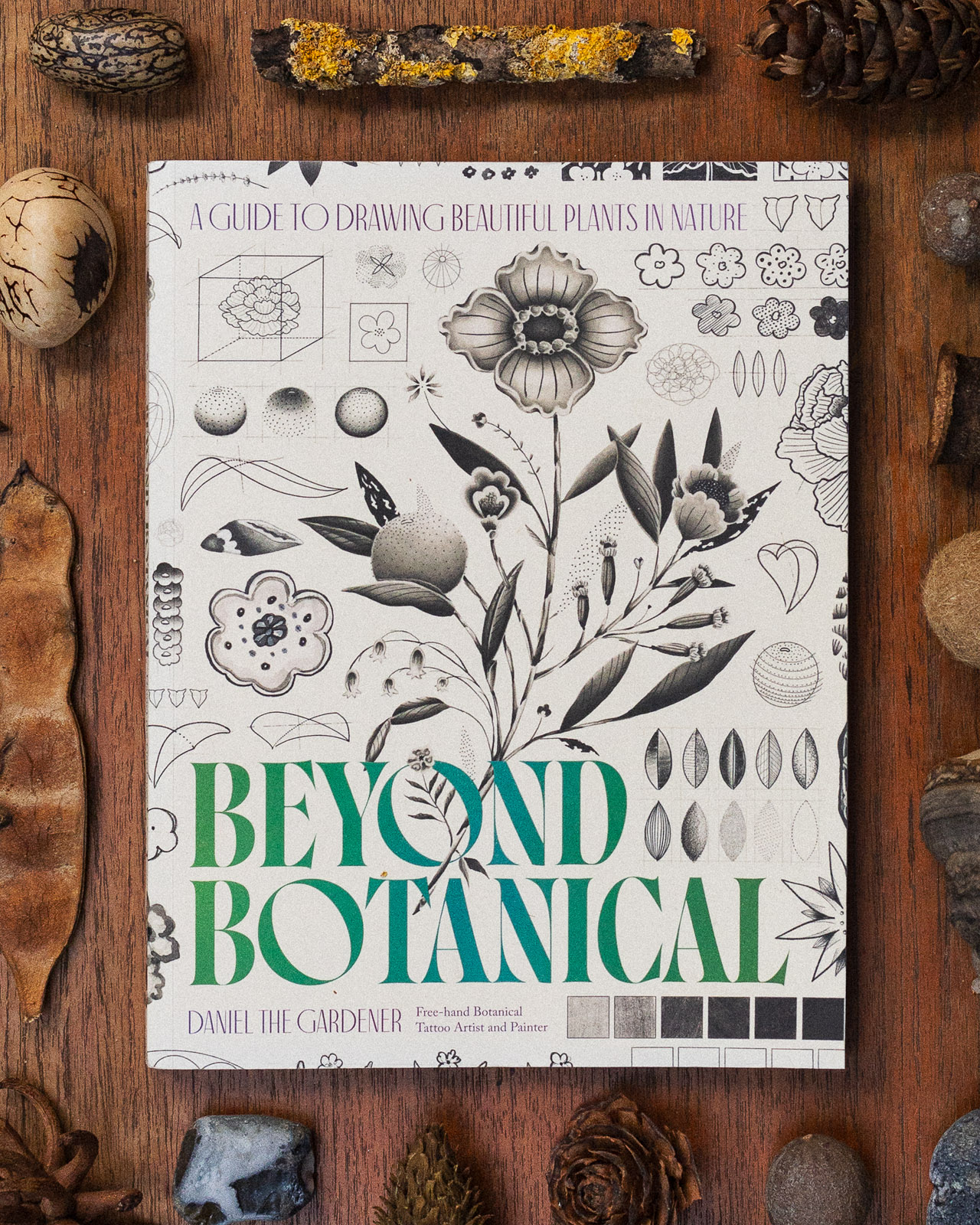 Beyond Botanical book cover surrounded by seed pods, cones and stones on a wooden table