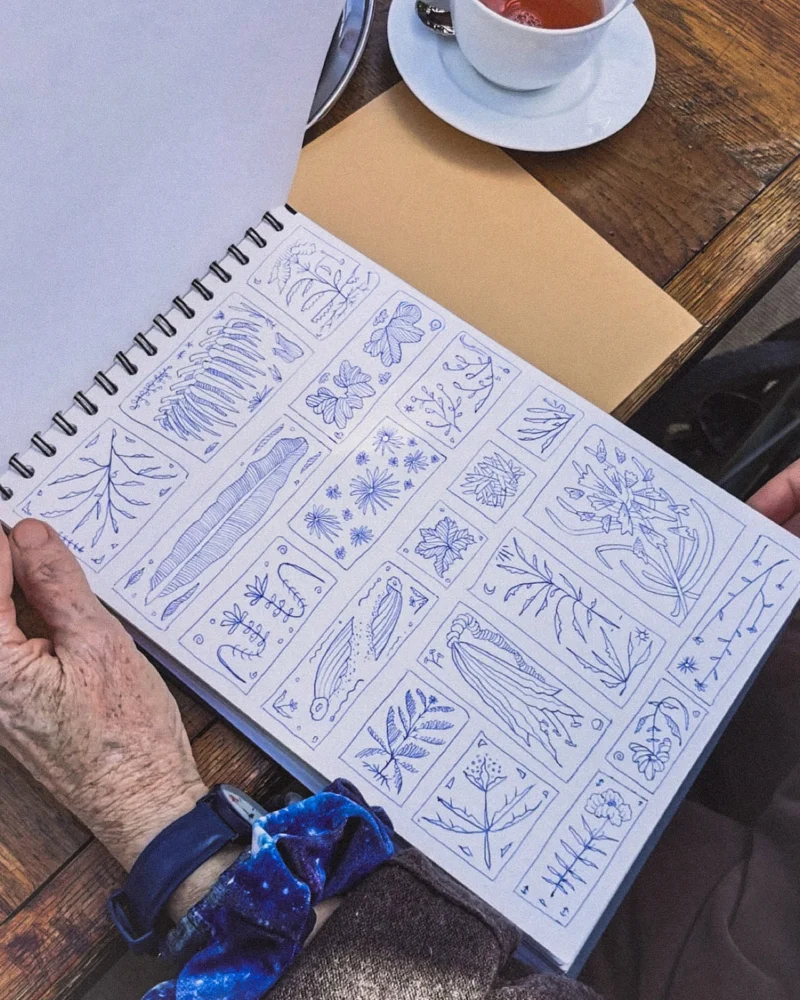 Open sketchbook containing a grid of monochrome botanical drawings on a wooden table