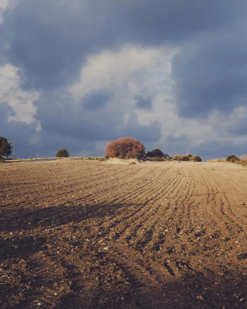 Ploughed field with parallel furrows beneath a cloudy blue sky