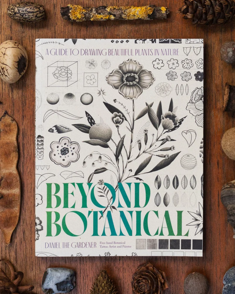 Beyond Botanical book cover surrounded by seed pods, cones and stones on a wooden table