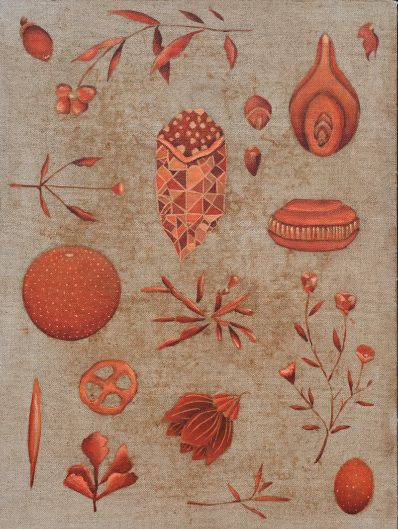Orange and red botanical studies with seed pods, flowers and geometric forms on stretched linen board