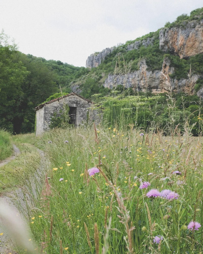 Stone farmhouse beside a wildflower meadow and rocky hillside
